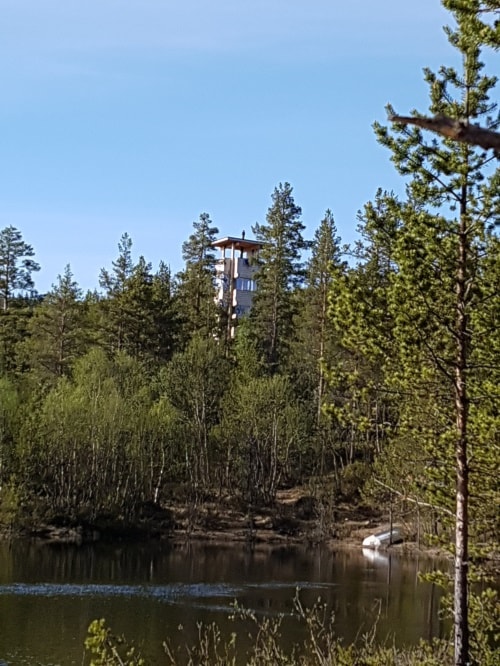 Siste fellestur til "Ukens post" for i år